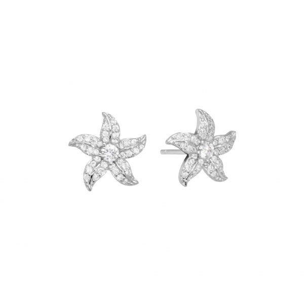 Orecchini in Argento Stella marina