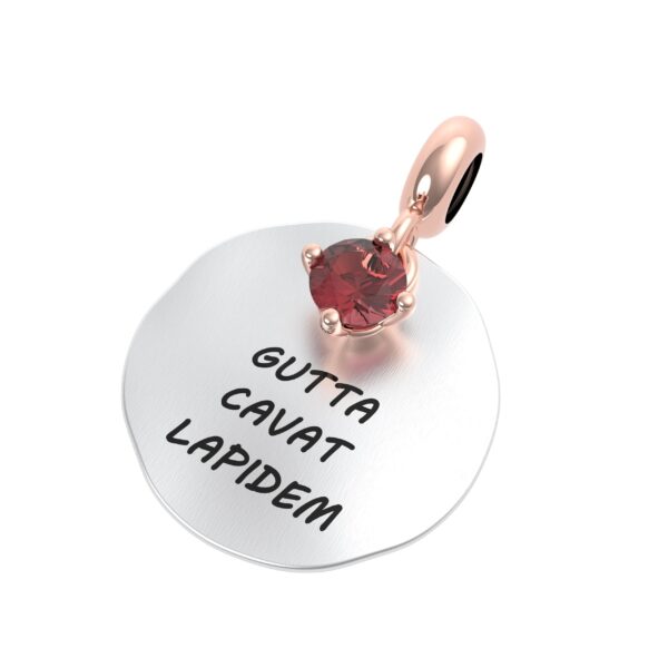 Charm Gutta cavat lapidem